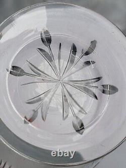10 Antique Webb Wheel Cut IRIS GLass Gorgeous Crystal Juice 4 1/2 TUMBLERS