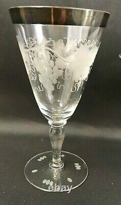 10 HAWKES Cut Crystal Grapevine Grape Leaf Martini Wine Glass Silver Rim SIGNED