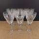 10 Thomas Webb Crystal Water Glasses Goblets Cut Flower & Lattice England