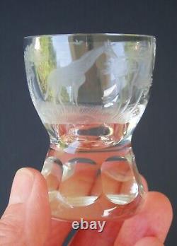5 Kenyan-African by QUEEN LACE Cordial / Shot Glass Cut Crystal Safari Animals