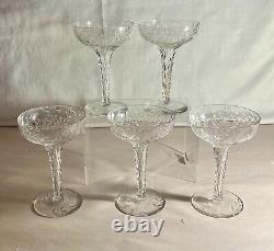 5 Rock Sharpe Crystal Gray Cut Floral 5 3/8 Hollow Tall Champagnes