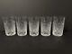 (5) Tiffany & Co. Cut Leaves Crystal Glass Highball Tumbler Drinking Glasses