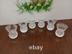 6 Edinburgh Scotland Crystal Cut Glass Shot Glasses Goblets in Thistle 2/1 oz