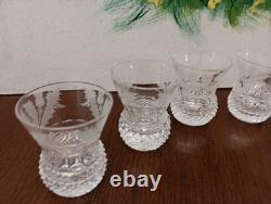 6 Edinburgh Scotland Crystal Cut Glass Shot Glasses Goblets in Thistle 2/1 oz