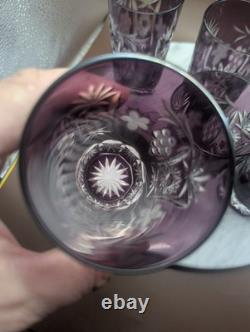 6 pcs Nachtmann Traube Cranberry Cut to Clear Crystal Highball Glass 5 set