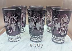 6 pcs Nachtmann Traube Cranberry Cut to Clear Crystal Highball Glass 5 set
