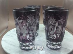 6 pcs Nachtmann Traube Cranberry Cut to Clear Crystal Highball Glass 5 set