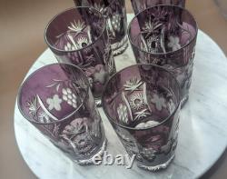 6 pcs Nachtmann Traube Cranberry Cut to Clear Crystal Highball Glass 5 set