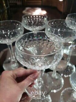 (7) Champagne Sherbet Glasses 5-5/8 elegant cut crystal thumbprint box quality