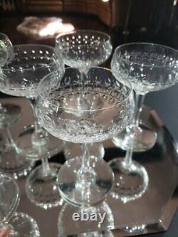 (7) Champagne Sherbet Glasses 5-5/8 elegant cut crystal thumbprint box quality