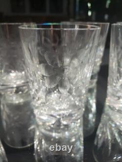 (7) Tumblers, American Brilliant period Cut Glass Crystal Intaglio flower & bud