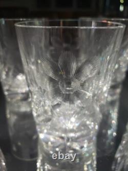 (7) Tumblers, American Brilliant period Cut Glass Crystal Intaglio flower & bud
