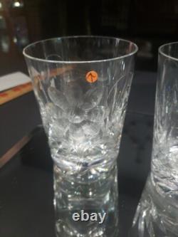 (7) Tumblers, American Brilliant period Cut Glass Crystal Intaglio flower & bud