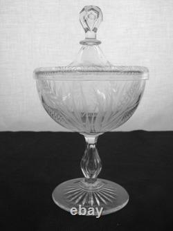 American Brilliant Cut Glass 1876-1916 Insect design engraved covered compote