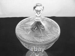 American Brilliant Cut Glass 1876-1916 Insect design engraved covered compote
