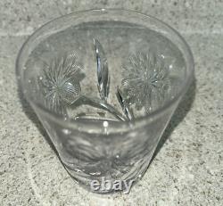 Antique ABP Cut Glass Water Set Pitcher with 4 Tumblers Cut Thistle & Cosmos