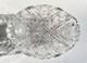 Antique Hawkes American Brilliant Cut Glass Crystal Bread Bowl 10.5 Low Dish