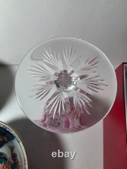 Baccarat Crystal LAGNY Pattern Rose Cut to Clear Rhine Hock Wine Glass 8 H BOX