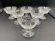 Beautiful Set of 6 WATERFORD CRYSTAL Adare (Cut) Champagne /Sherbet Glasses MINT