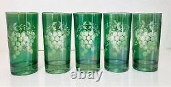 Bohemian Crystal 17 Pc Cut to Clear Iridescent Green Tumblers Etched Glass Grape