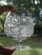 Bohemian Czech Cut Crystal Brandy Glass Queen's Lace Set of 6 4.25 Tall 8oz