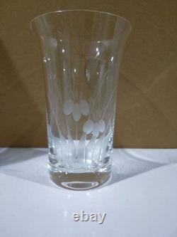 Cut Crystal Glass Tumblers Set of 5, Antique Style, No Chips, 10.8cm