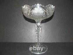 HUGE 10 COMPOTE American brilliant Period Cut glass Crystal Harvard Daisy Cane