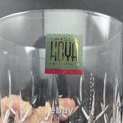 Hoya Double Old Fashioned Glass Cut Crystal CYT713U 4Pc Set