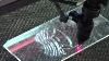 Laser Cut Acrylic Fish China Laser Machine