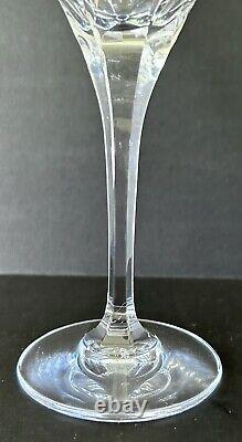 Mikasa English Garden Crystal Water Goblets Glasses 9 Set of 11