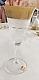 Moser Czech Cut Crystal Glass Water Goblets in Gold Splendid 9.25