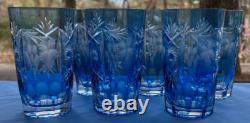 Nachtmann Crystal Traube Blue Cut to Clear 5 1/8 Highball Tumbler Glass 11 Oz
