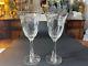 Pair of Rare HAWKES CRYSTAL in Talisman Crystal Red Wine /Water Goblet Glasses