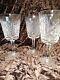 SET of 12 Waterford 6 7/8 LISMORE CUT CRYSTAL WATER GOBLETS MINT
