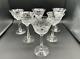Set of 6 Rare Hawkes Crystal in Talisman Crystal Champagne/Tall Sherbet Glasses