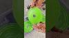 Sharp U0026 Durable Blade For Cutting Glass Jade Crystal Sawblade