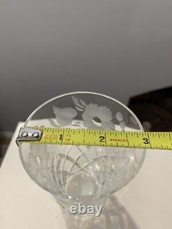 Stunning Cut Crystal Frosted Etching Tumblers 6 oz Capacity. Amazing Set of 6
