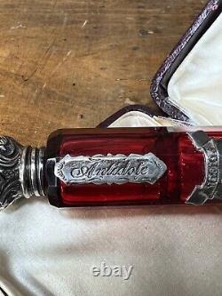 Victorian Cut Ruby Crystal Glass Bottle Silver Top Poison Skull Cyanide Antidote