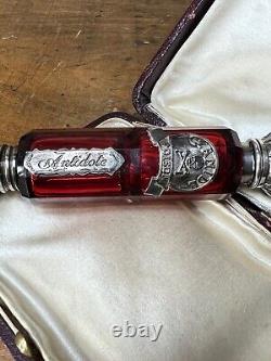 Victorian Cut Ruby Crystal Glass Bottle Silver Top Poison Skull Cyanide Antidote