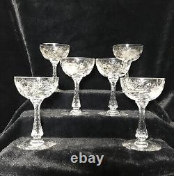 Vintage Hawkes Gravic Cut crystal China Aster Cordial Sorbet Chrysanthemum set 6