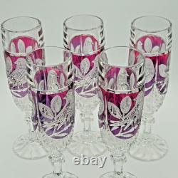 Vintage Hofbauer Ruby Byrdes 2478 FROST Champagne Flutes Set of 5 Cut Crystal