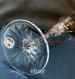 Waterford Wishes Happy Toasting Flute Champagne Crystal Glass 7 Oz 11h New 1 Pc